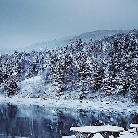 St Ann'S Motel & Cottage Baddeck Inlet المظهر الخارجي الصورة